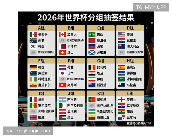 世界杯美国队D组竞争压力分析